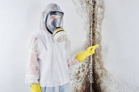 Best Black Mold Removal  in Lone Pine, CA